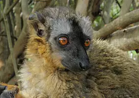turistipercaso madagascar-natura-zj8re