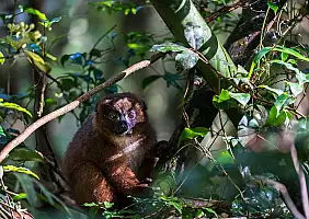 turistipercaso madagascar-qsen5