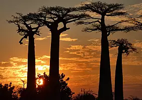 turistipercaso madagascar-ybd7h