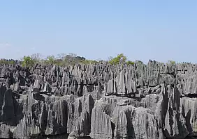turistipercaso madagascar-zuggx