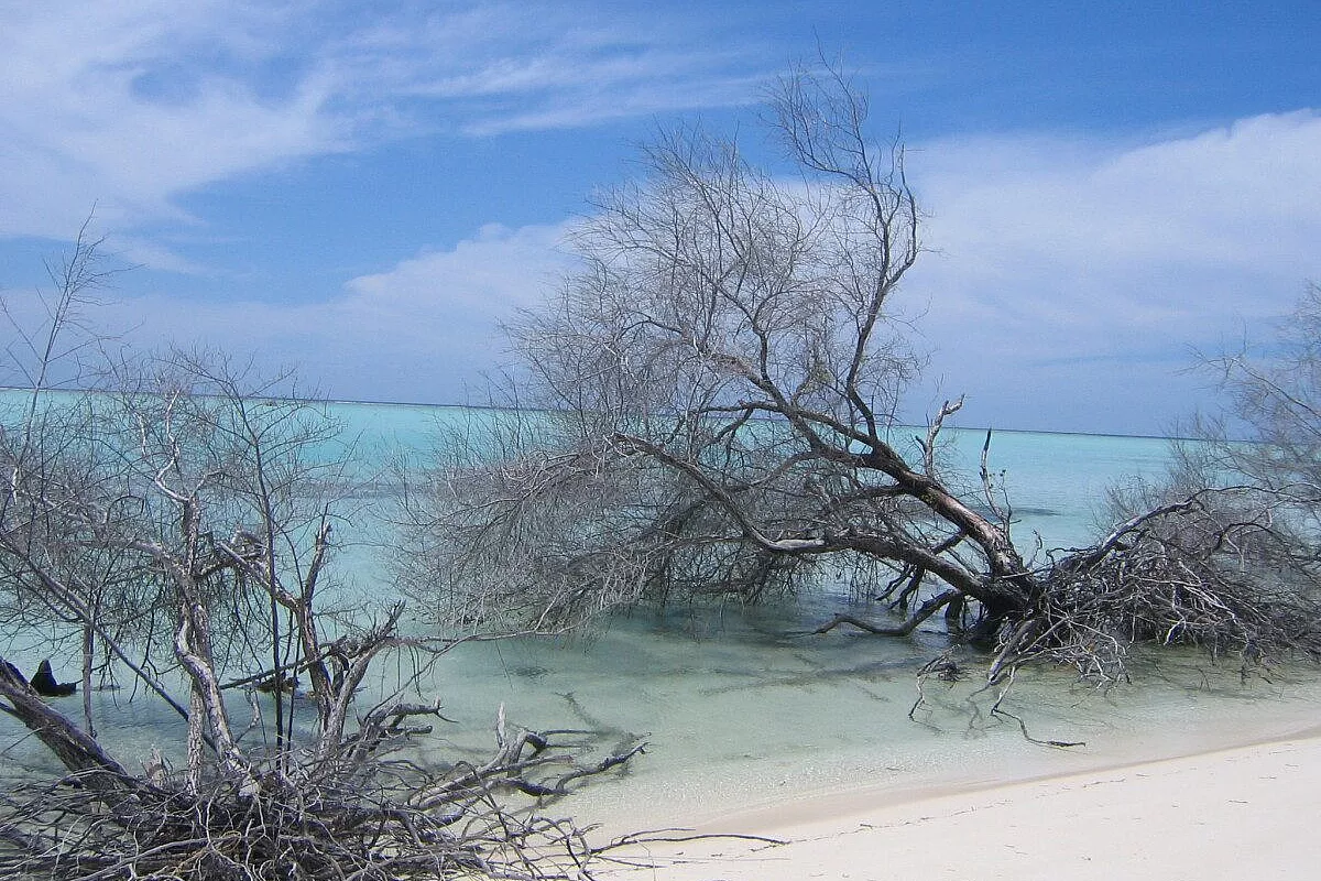 Alla scoperta di mondi sconosciuti….maldive!!!!!