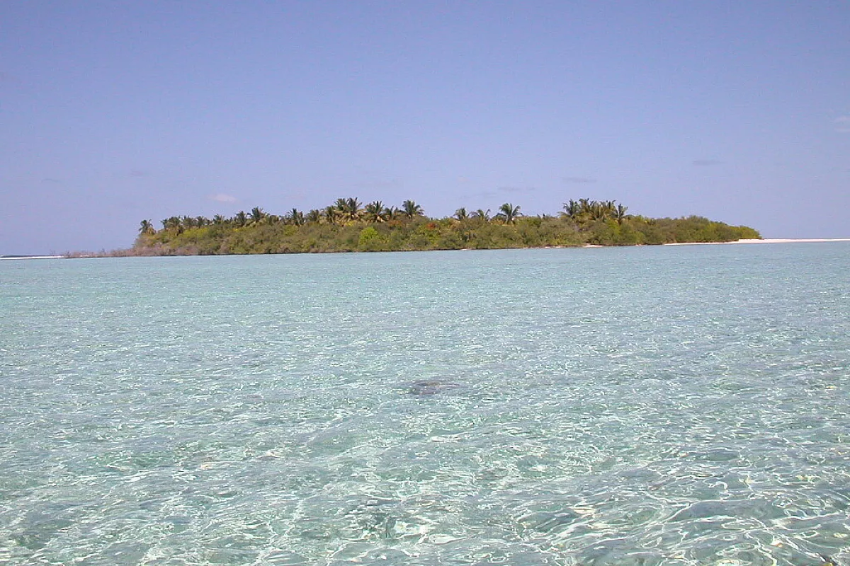 Maldive’s Fever