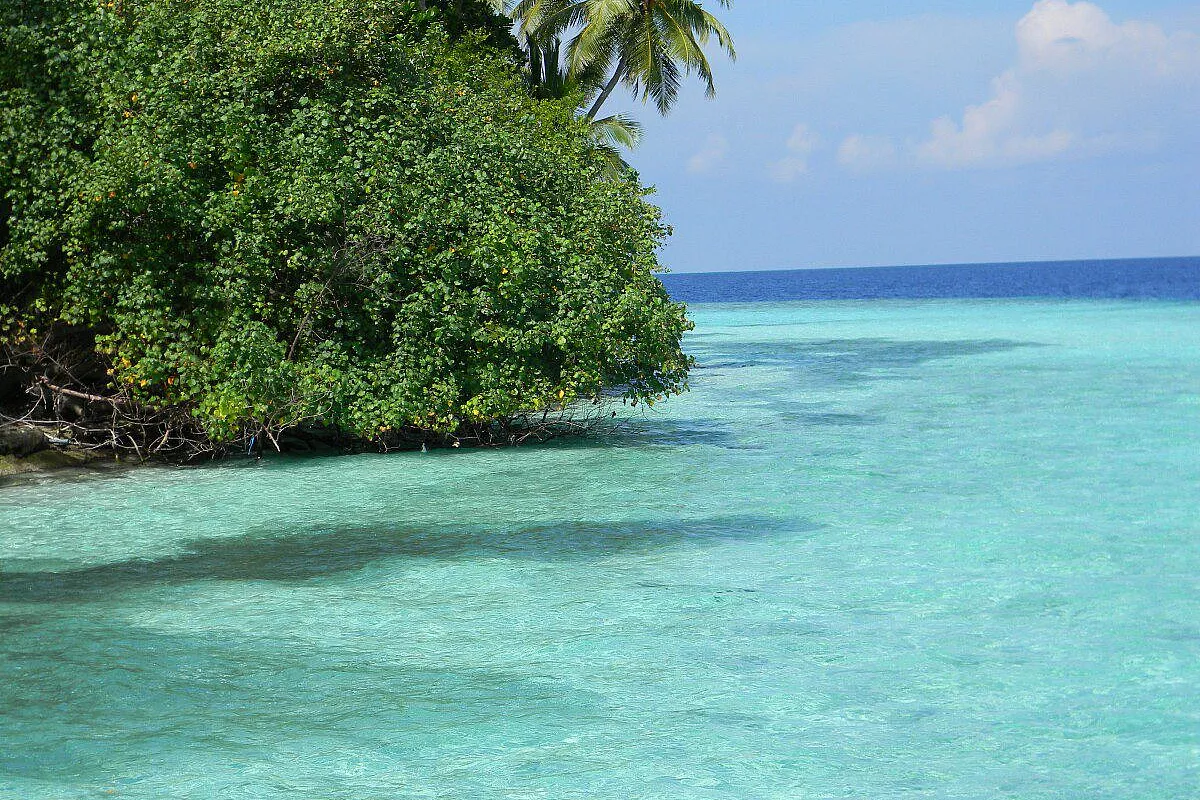 Biyadhoo: paradiso fai da te!