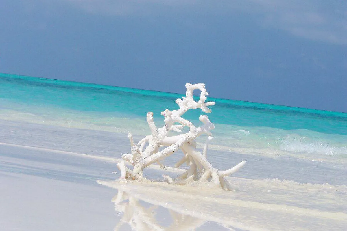 MALDIVE l’Eden del nostro tempo