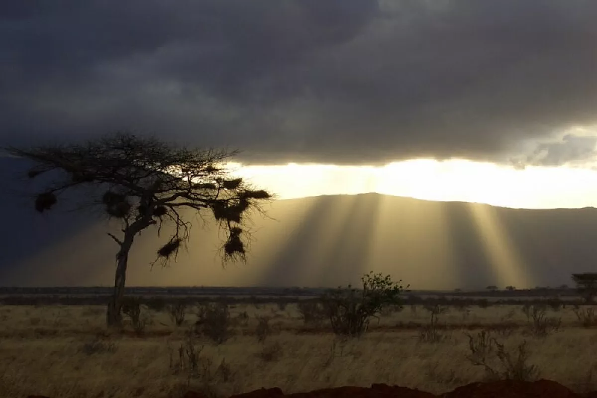 Kenya 8