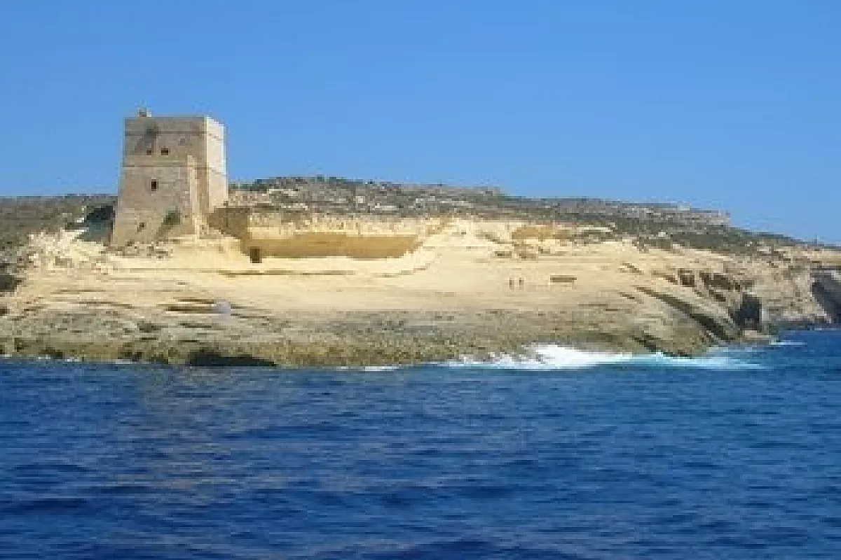 Piccioni viaggiatori a Malta