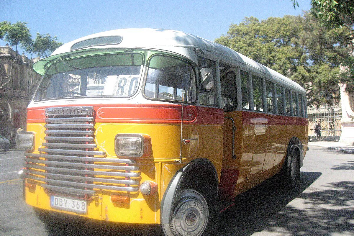 bus tipici