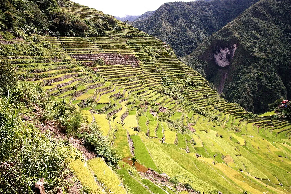 Filippine: da Manila alle risaie del Nord. Relax a Palawan
