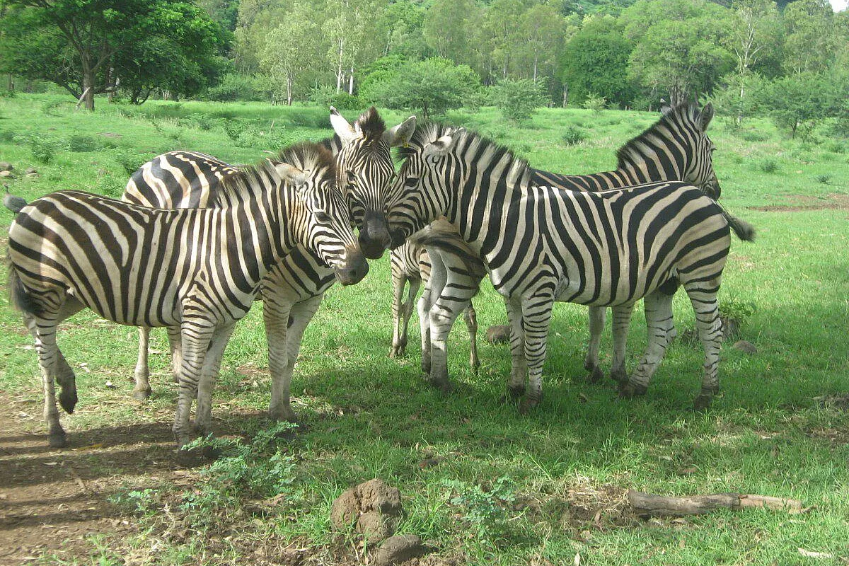 Kwaeri Kenya