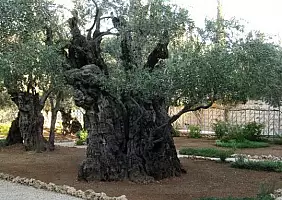 turistipercaso mar-morto-jkvj1