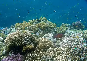 turistipercaso mar-rosso-7yqab