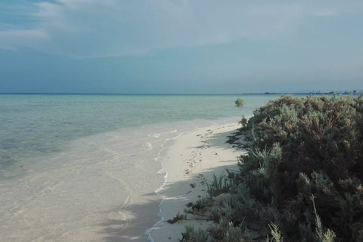spiaggia delle mangrovie
