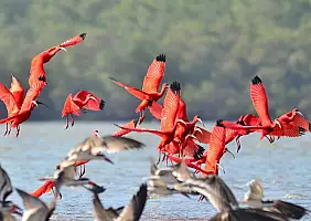 turistipercaso maranhao-qk8a5