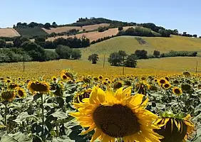 turistipercaso marche-ajzjs