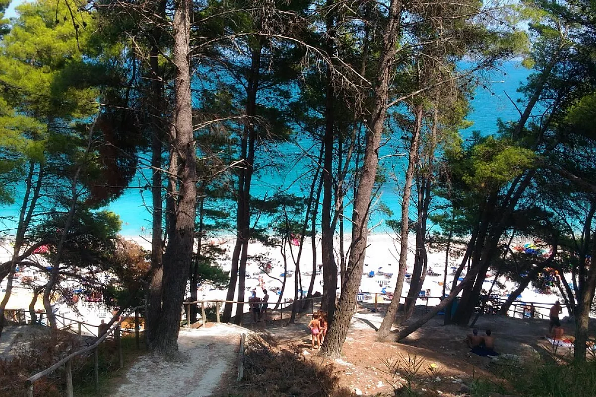 Sirolo