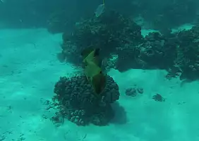 turistipercaso mare-1dtp6