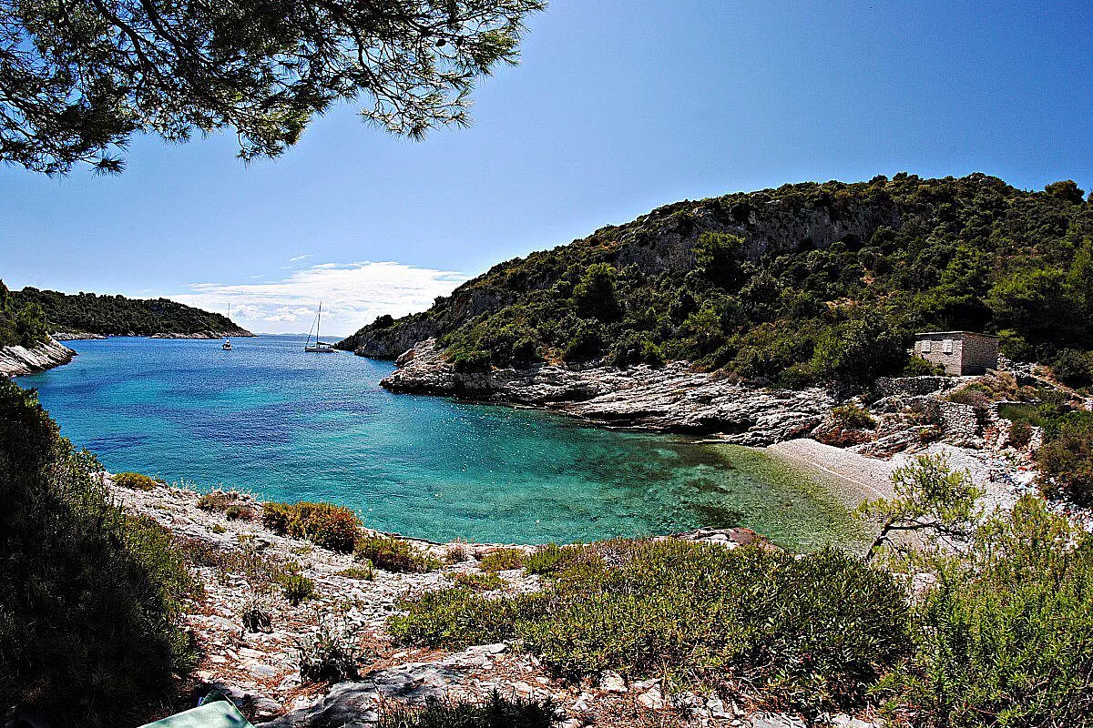 Solta