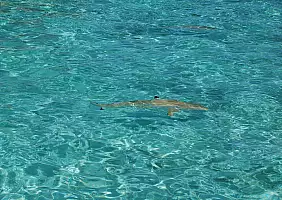 turistipercaso mare-1grh6