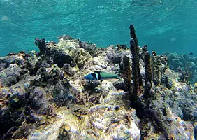 turistipercaso mare-262qv