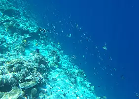 turistipercaso mare-2fazr