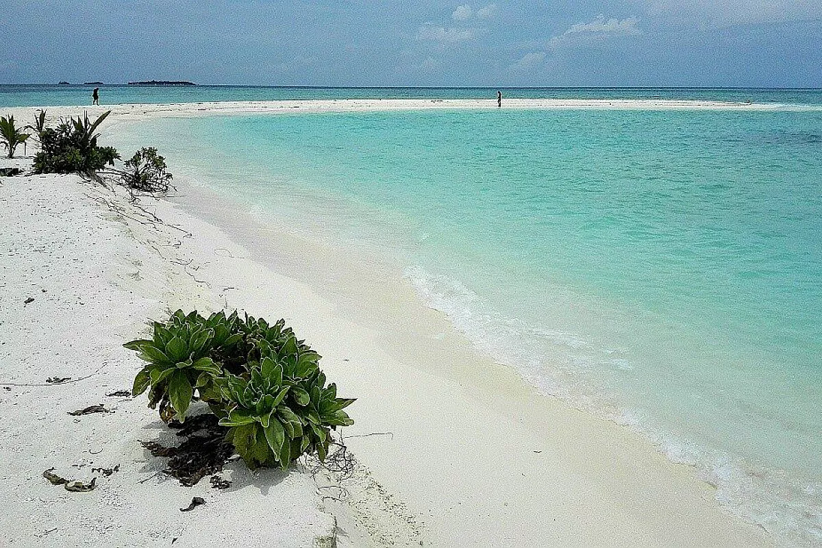 Le mie Maldive mordi e fuggi