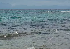 turistipercaso mare-44cmv
