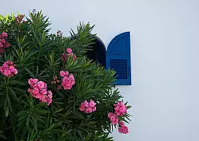 turistipercaso mare-5fyc7