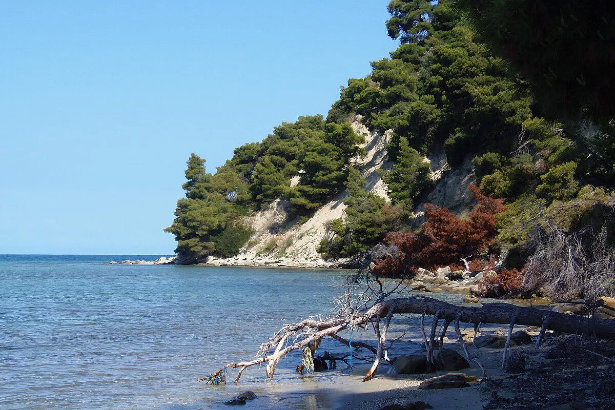 HALKIDIKI