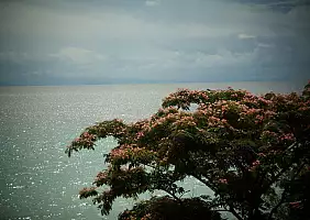 turistipercaso mare-6yhgk