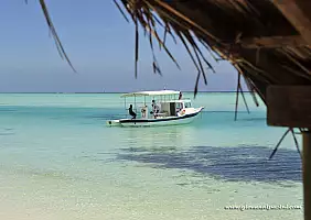 turistipercaso mare-83mh4