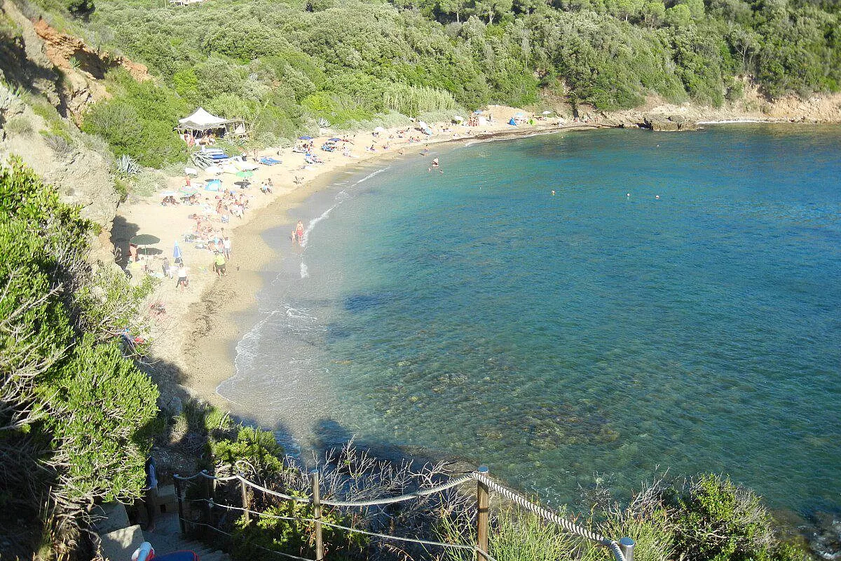 Barabarca