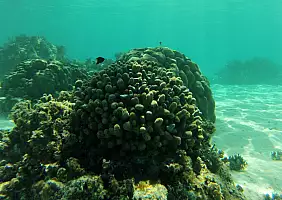 turistipercaso mare-8qnnh