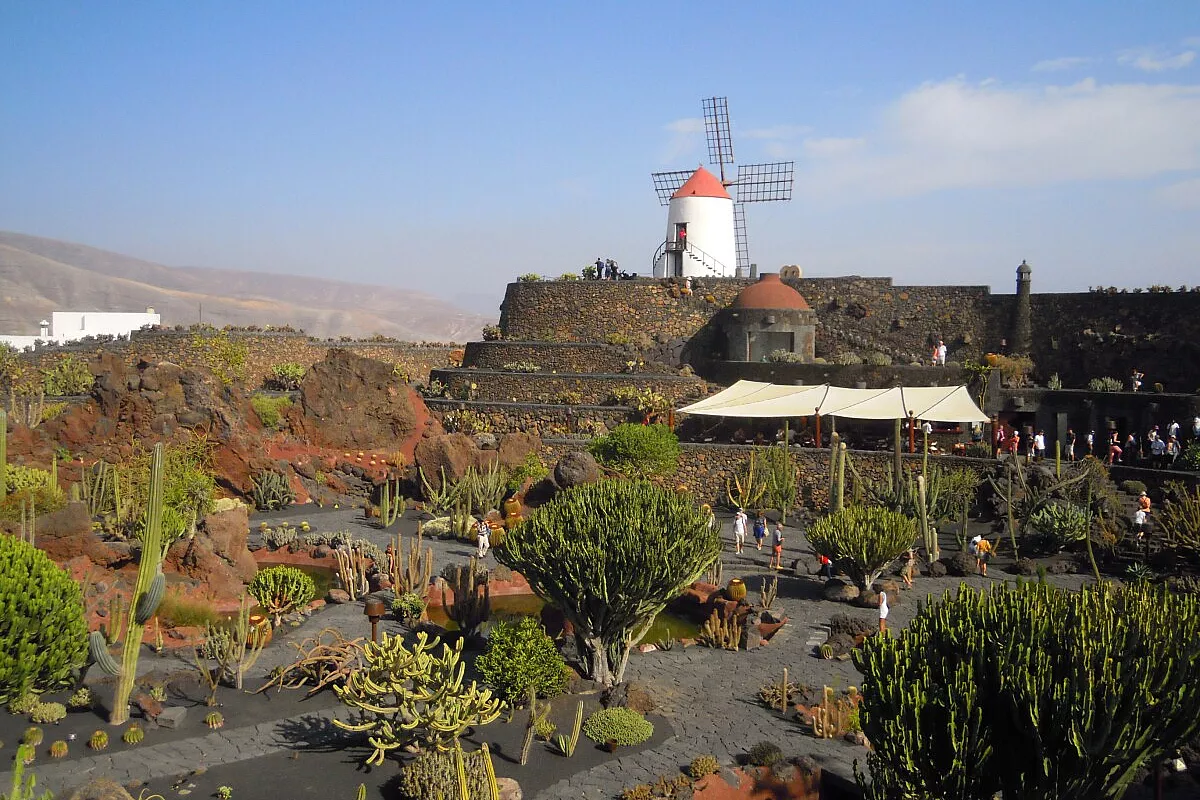 Jardin de Cactus