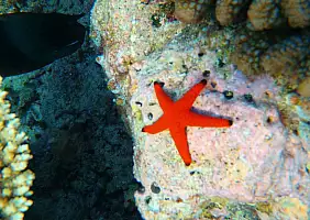 turistipercaso mare-98pdu