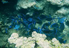 turistipercaso mare-98sff