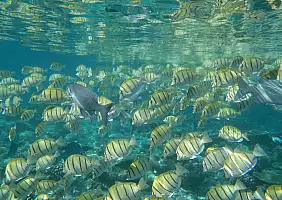 turistipercaso mare-9g6eg
