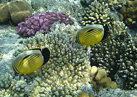 turistipercaso mare-abd6a