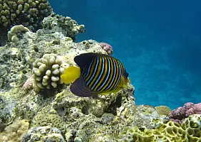turistipercaso mare-appbc
