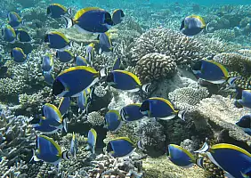 turistipercaso mare-b2rah