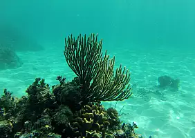 turistipercaso mare-b5vgj