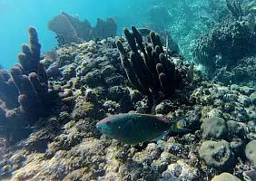 turistipercaso mare-bmsxq
