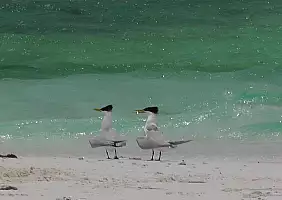 turistipercaso mare-brtpu