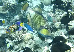 turistipercaso mare-bts7j