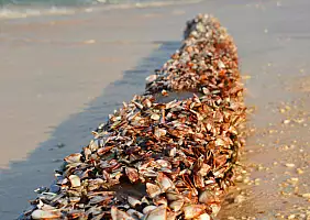 turistipercaso mare-chcay