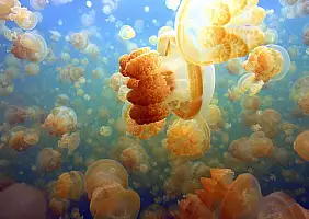 turistipercaso mare-cqshv