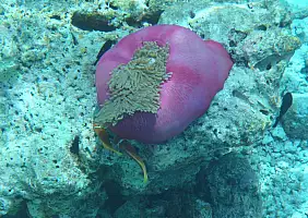 turistipercaso mare-d2yy2