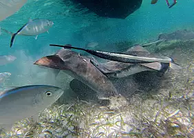 turistipercaso mare-deuk1