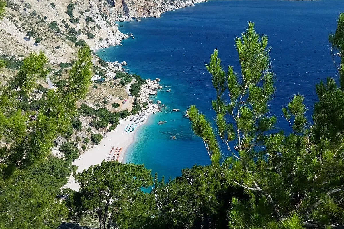 Apella, la più bella
