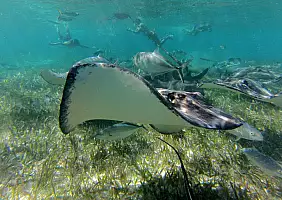 turistipercaso mare-dnpdf