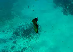 turistipercaso mare-e3t32